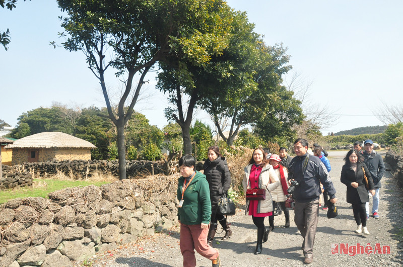 Hướng dẫn viên của làng đưa du khách đi thăm quan.