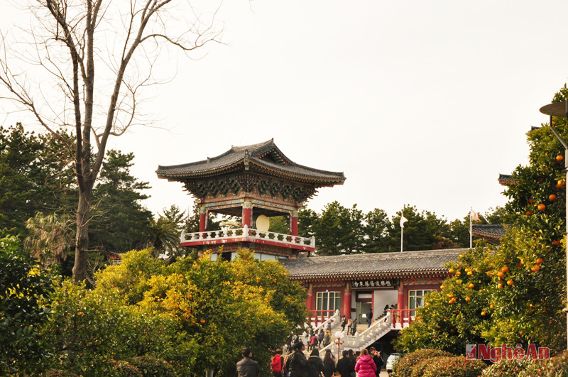 Để đáp ứng nhu cầu tâm linh, đảo Jeju còn có ngôi chùa Kwanmunsan khá lớn mới được xây dựng.