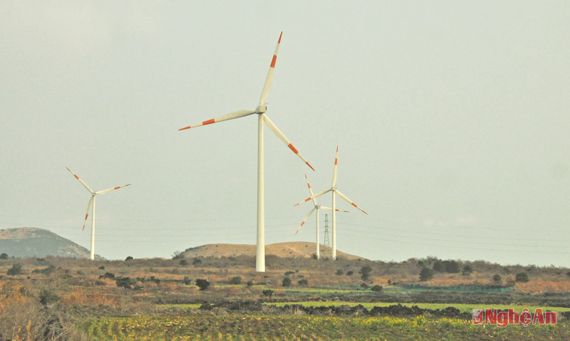 Năng lượng sử dụng trên đảo Jeju chủ yếu là phong điện