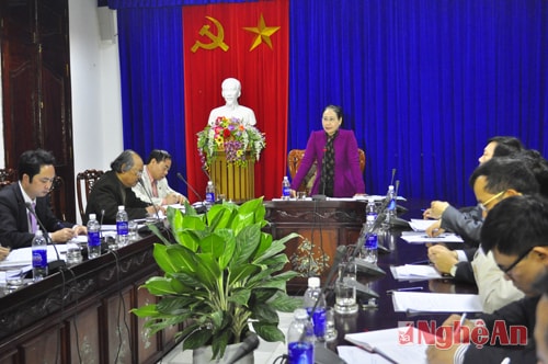 Đồng chí Đinh Thị Lê Thanh kết luận buổi làm việc
