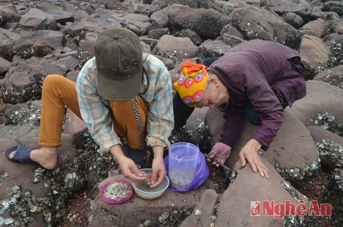 Người dân vùng biển vẫn gọi đây là nghề