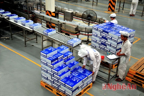 Dây chuyền sản xuất sữa TH. Ảnh: Sỹ Minh
