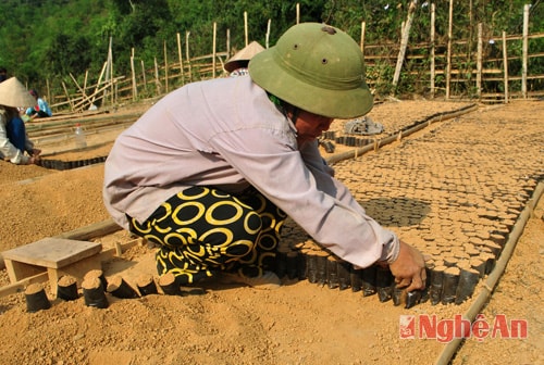 Mỗi ngày một người phụ nữ bản Na Tổng đóng được khoảng 90 đến 100 ngàn đồng từ công việc này.