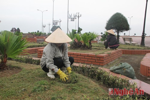 Công nhân Ban quản lý hạ tầng đô thị chăm sóc khu vực bồn hoa, cây xanh tại Quảng trường