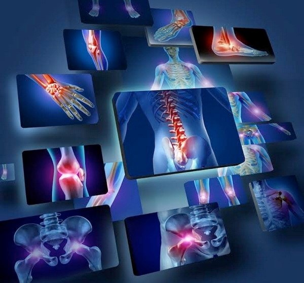 Các bộ phận cơ thể. (Nguồn: livescience.com)