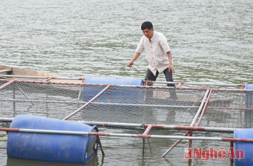 Bác Vi Quang Phùng kiểm tra lồng cá trên sông Lam.
