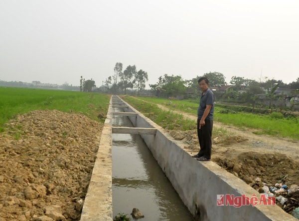 Nước thải chưa được xử lý chảy thẳng ra mương.