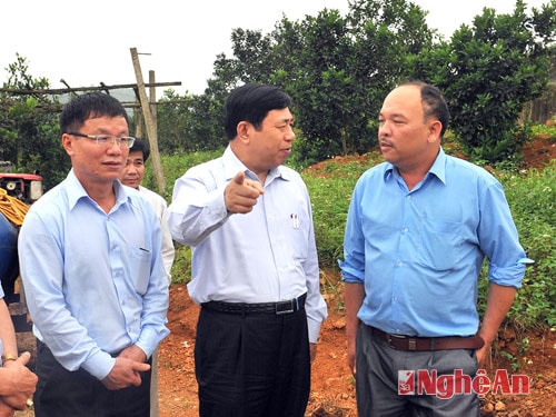 Chủ tịch UBND tỉnh Nguyễn Xuân Đường tìm hiểu mô hình của chủ trang trại Bình Giáo Hải.