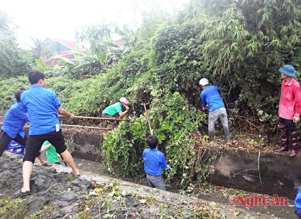 Tuổi trẻ Nghi Lộc nạo vét kênh mương.