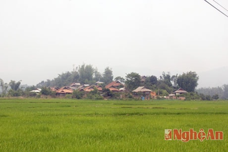 Xã Mường Phăng, huyện Điện Biên, tỉnh Điện Biên là nơi sinh sống của cộng đồng các dân tộc Thái, Mông, Kinh