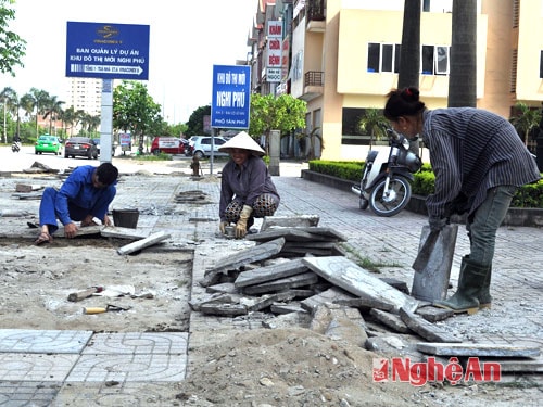 Công ty VINACONEX 9 đầu tư lát vỉa hè tại khu đô thị Nghi Phú.