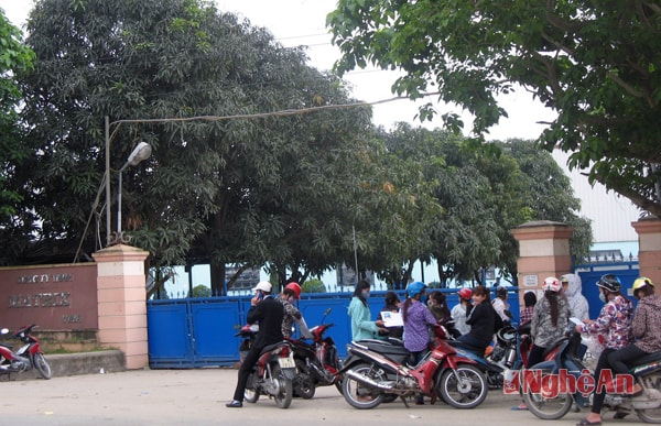 Một số lao động có bằng đại học chờ nộp hồ sơ tuyển công nhân tại Công ty Matrix.