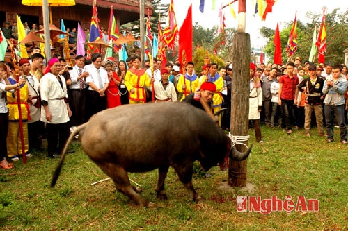 Hình ảnh một số điểm du lịch trong tỉnh. Ảnh: P.V