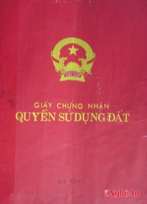 l Giấy chứng nhận QSD đất cấp năm 1996 của hộ ông Nguyễn Văn Thái xóm 6, xã Quỳnh Văn (Quỳnh Lưu) cấp sát chân đường không trừ lưu không.