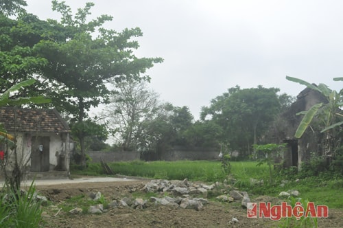 Mảnh đất bà Lực yêu cầu cấp quyền sử dụng đất ở.
