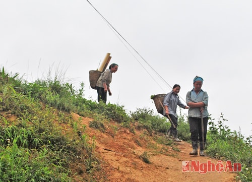 Bà con ở bản trung tâm Huồi Tụ đi lấy măng đắng trên núi.