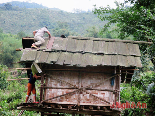 Sửa lại kho lúa bị tốc mái.