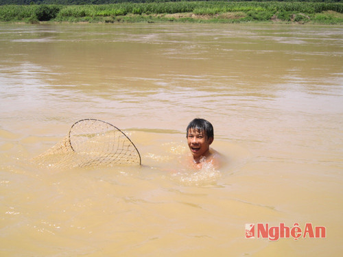 Dùng vợt bắt cá.