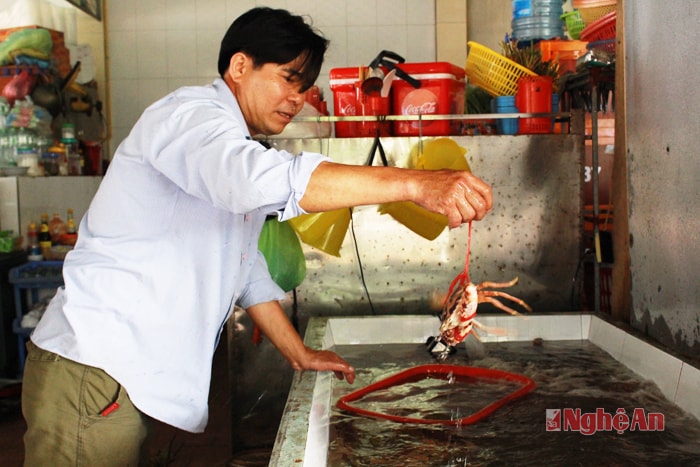 Các cửa hàng ăn đã chuẩn bị hải sản tươi sống phục vụ đủ nhu cầu của du khách.