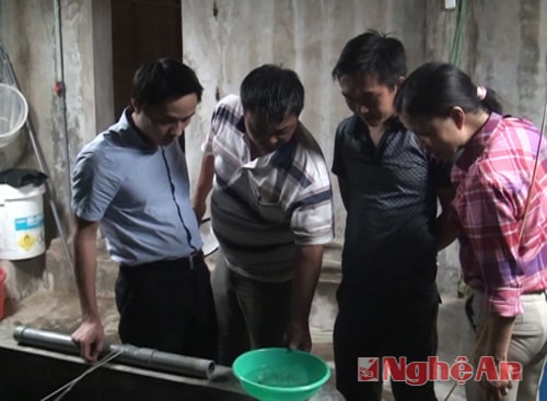 Kiểm tra giống tôm thẻ chân trắng  tại Công ty Giống thủy sản Nghệ An