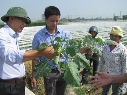 Cán bộ 