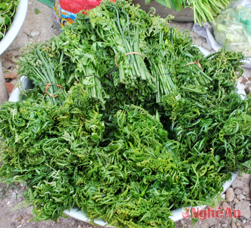 Đặc sản rau dún