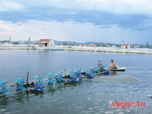 Kiểm tra đầm tôm tại Quỳnh Giang (Quỳnh Lưu). Ảnh: Thanh Lê