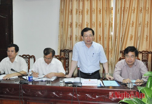 Đồng chí Đinh Viết Hồng - Phó chủ tịch UBND tỉnh phát biểu tại buổi làm việc.