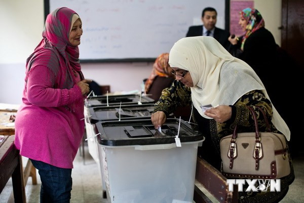 Cử tri Ai Cập bỏ phiếu trong cuộc trưng cầu dân ý về Hiến pháp mới tại Cairo. (Nguồn: AFP/TTXVN)