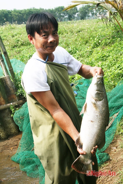 Ông Võ Minh Tùng - chủ nhà hàng.