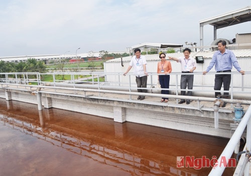 Hệ thống xử lý nước thải tại Công ty Bia Sài Gòn - Củ Chi