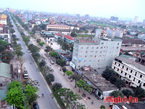 Đường Phan Bội Châu chủ yếu là cây bàng, bông gòn... không phù hợp với sự phát triển của đô thị hiện đại.