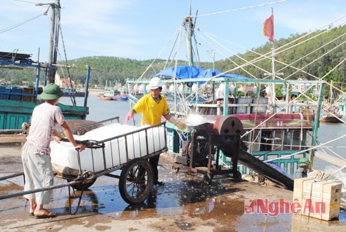 Ngư dân Quỳnh Long chuẩn bị đá lạnh cho những chuyến xa khơi.