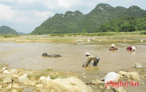 Sông Dinh, nơi thường xẩy ra tình trạng khai thác cát, sỏi trái phép.