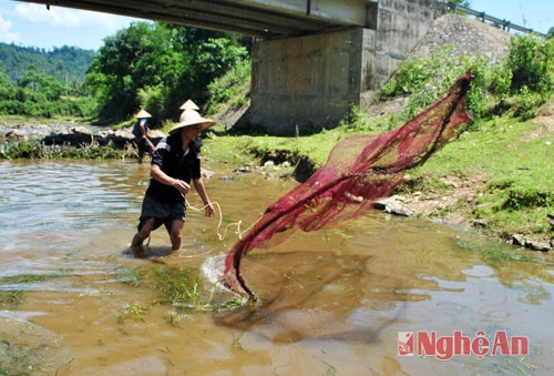 Quăng chài