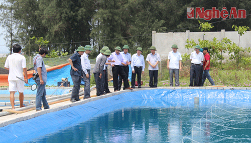 Chủ tịch UBND tỉnh cùng lãnh đạo các Sở, ngành thăm mô hình nôi ngao giống ở Quỳnh Thuận- QUỳnh Lưu