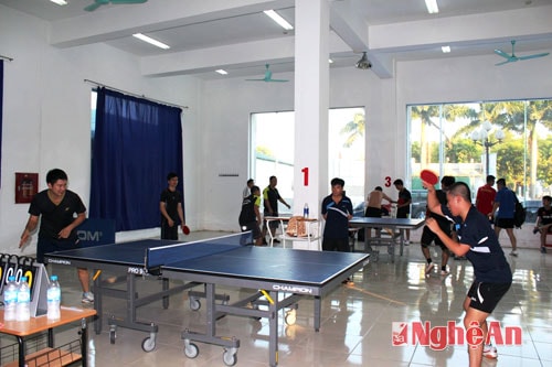 Các vận động viên đấu vòng loại.