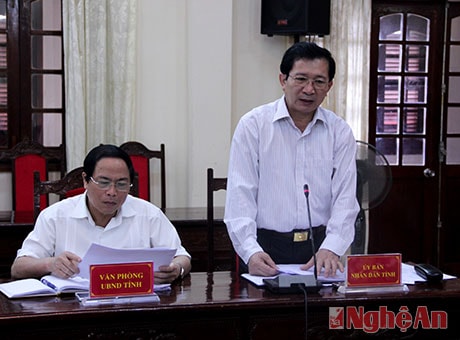 Đồng chí Đinh Viết Hồng - Phó Chủ tịch UBND tỉnh phát biểu tại buổi làm việc