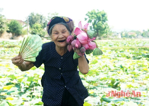 Bà Biện Thị Em hái sen về nhà.