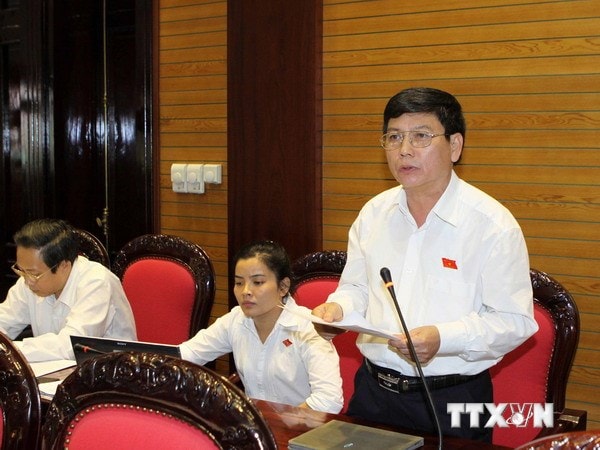 Đại biểu Quốc hội tỉnh Quảng Bình Trần Minh Diệu phát biểu ý kiến tại phiên họp. Ảnh: TTXVN
