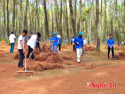 Đoàn viên thanh niên thu dọn thực bì phòng chống cháy rừng.