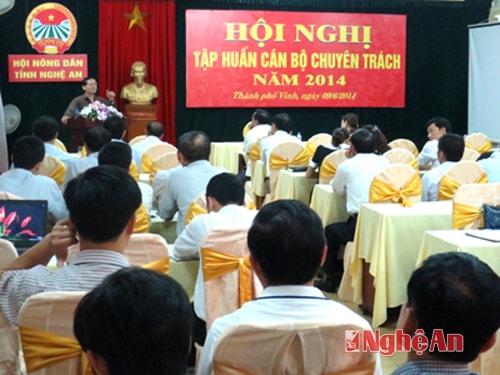 Quang cảnh buổi tập huấn.