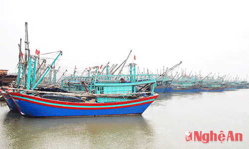 Quản lý tổng hợp đới bờ để khai thác kinh tế biển bền vững.