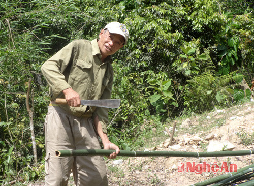 Bắt đầu khai thác.