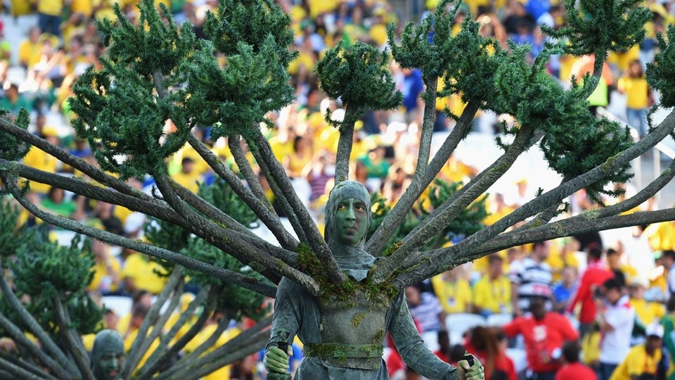  Brazil sở hữu tới 1/10 số loài động thực vật trên thế giới. Trên sân Arena de Sao Paulo, những loài cây và hoa liên tục xuất hiện.