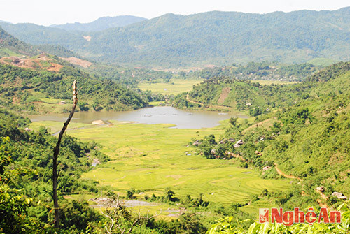 Những thửa ruộng bậc thang ở Tri Lễ (Quế Phong)