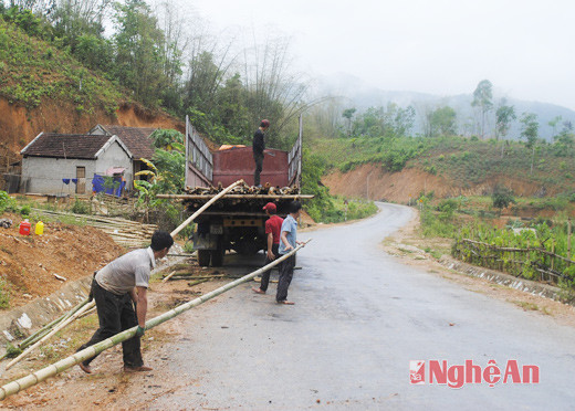 Đường nhựa đã hoàn thành, xe ô tô vào tận xã Bồng Khê để vận chuyển keo