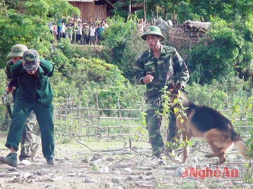 Truy bắt, dẫn giải biệt kích bị bắt sống