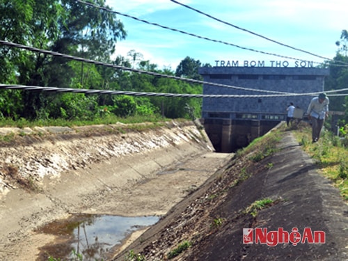 Trạm bơm Thọ Sơn (Nghi Lộc) không đủ nước để phục vụ sản xuất.