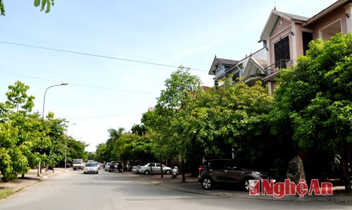Đường Trần Huy Liệu.